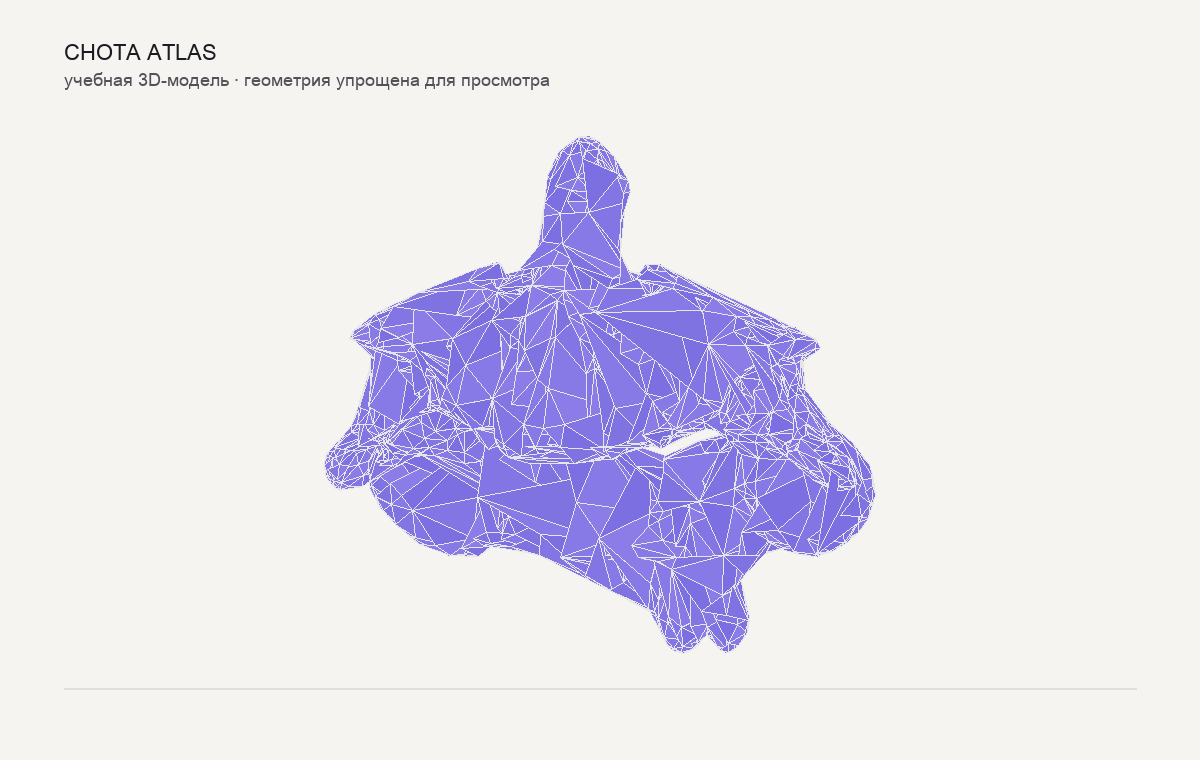 Упрощённая учебная 3D-модель: Осевой позвонок (axis)