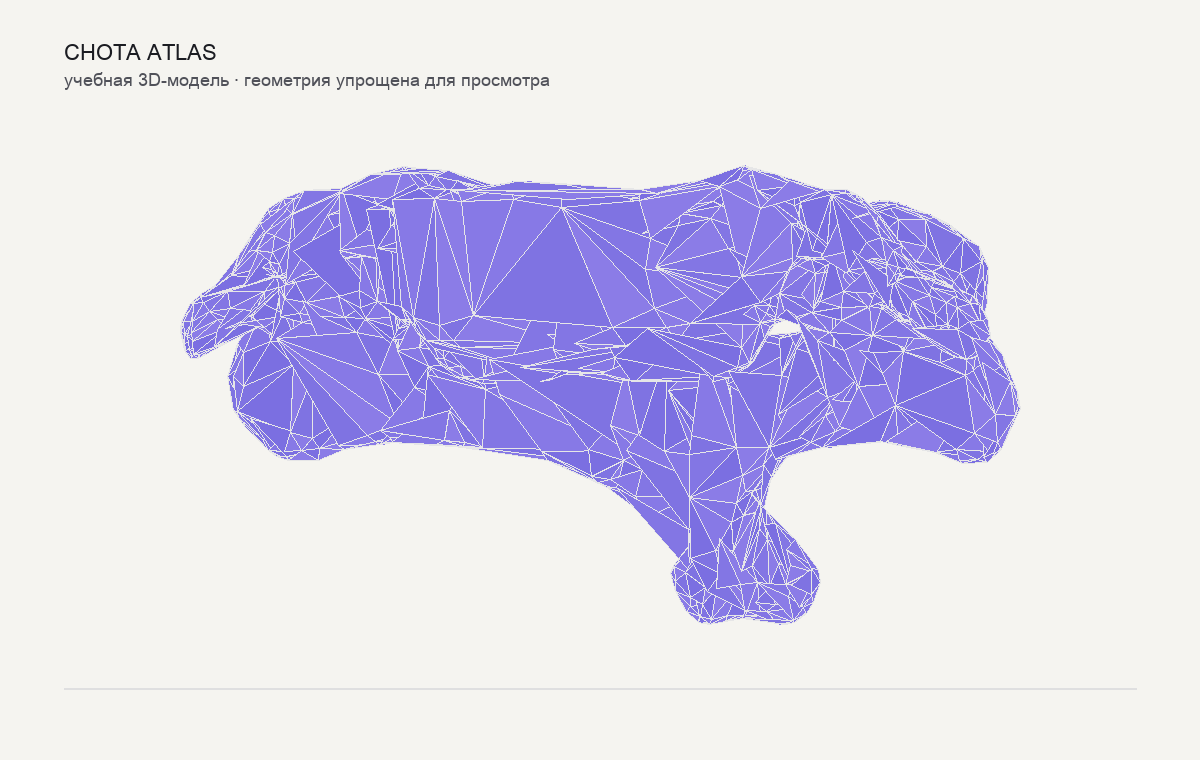Упрощённая учебная 3D-модель: Шейный позвонок (vertebra cervicalis)
