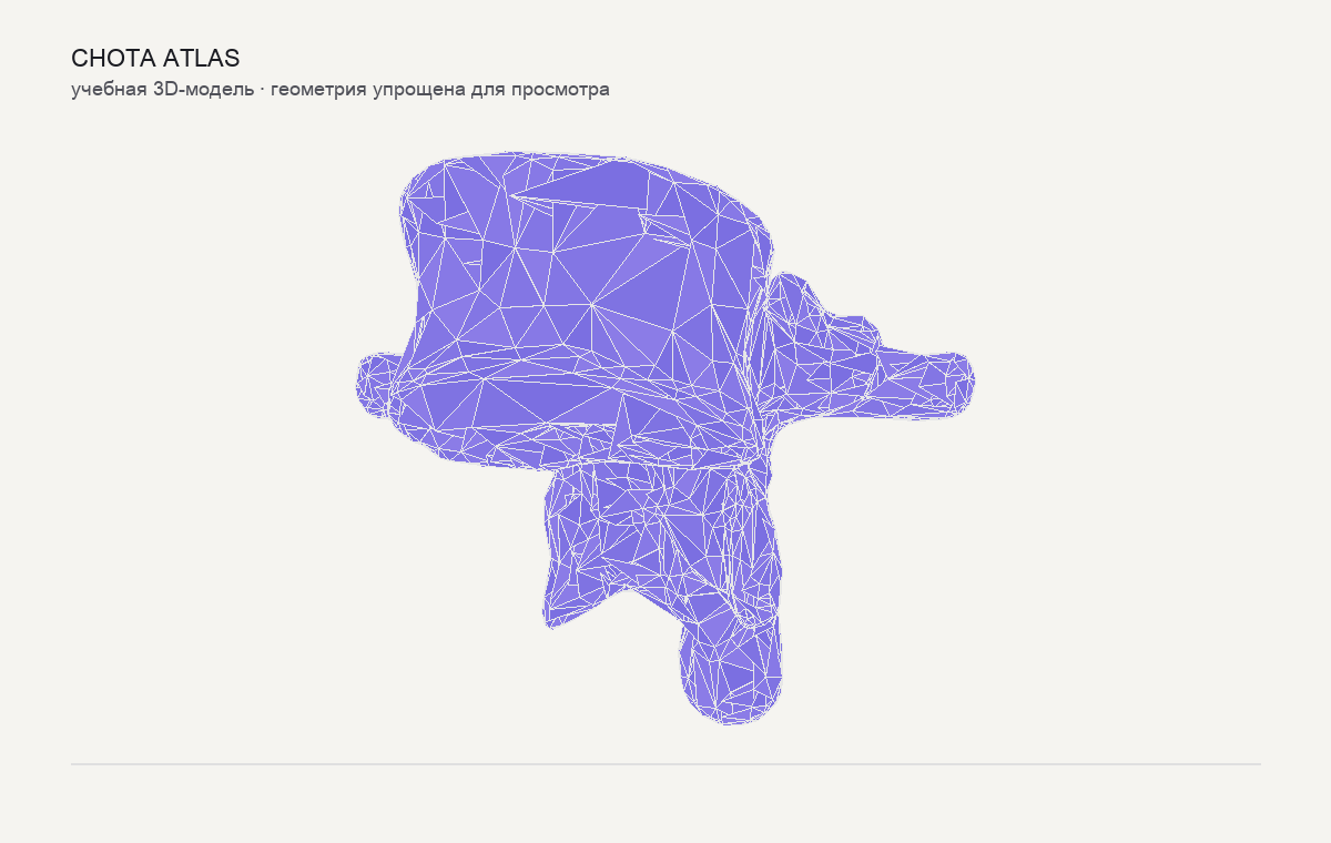 Упрощённая учебная 3D-модель: Поясничный позвонок (vertebra lumbalis)